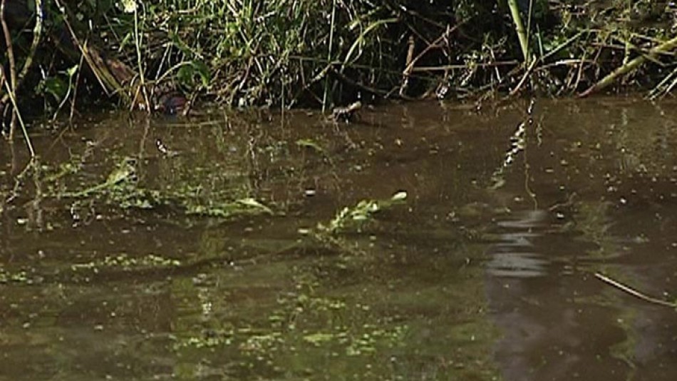 Водоём0826.jpg