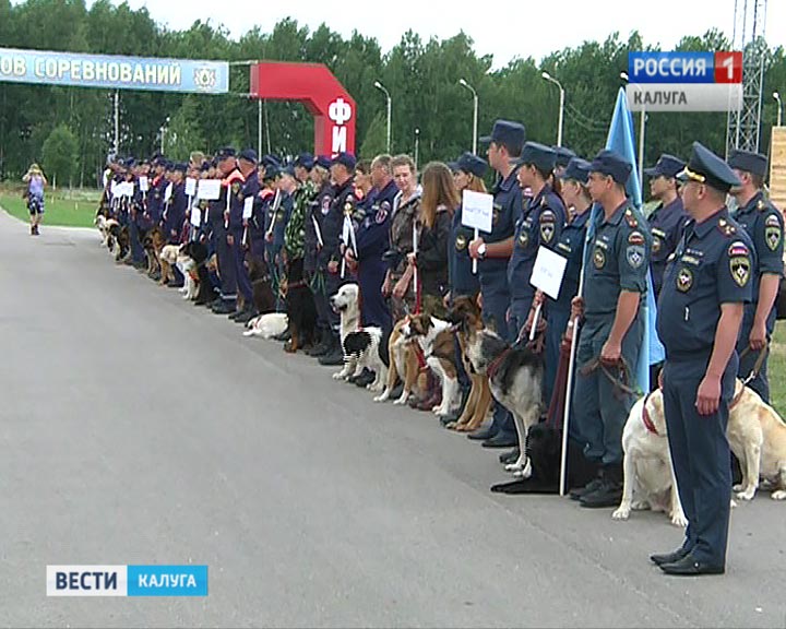 кинологи0729.jpg