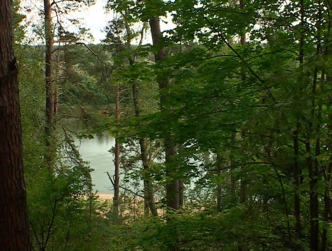 Проверить качество воды в Андреевском карьере попросили калужане