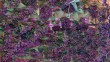 По-тканой-дорожке2-1024.jpg