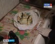 Спайсы2-0802.jpg