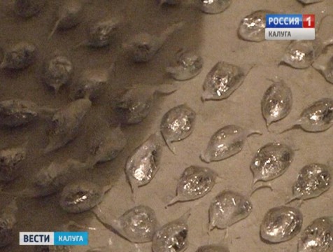 В Калуге задержали с поличным распространителя «спайсов»