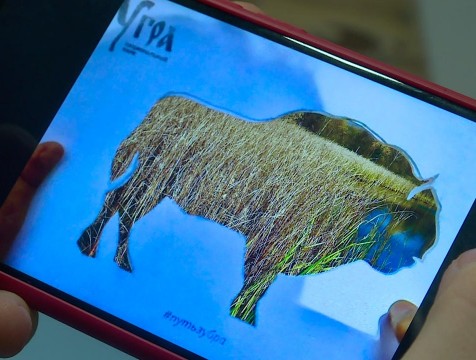Более 60 авторов со всей России поучаствовали в конкурсе «Путь зубра»