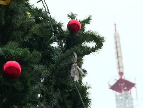 24 новогодние елки украсят в Калуге к Новому году