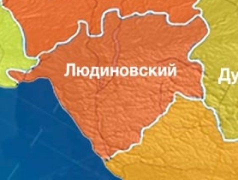 Людиновский район лидирует по количеству выздоровлений от коронавируса за сутки