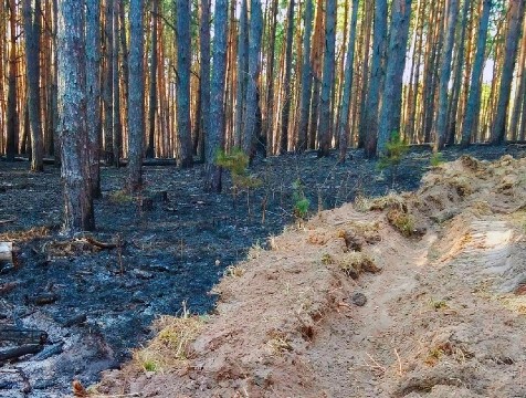 За пожароопасный сезон жителям региона выписано штрафов на 3,5 млн рублей