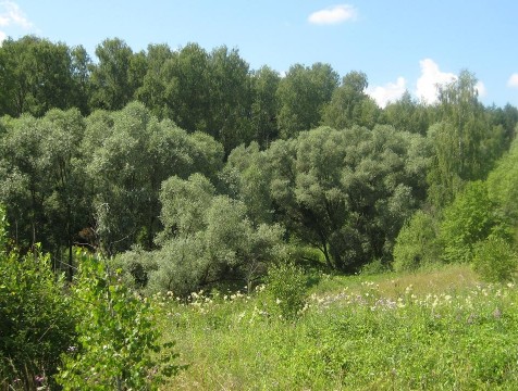 В Тарусском районе расширили особо-охраняемую природную территорию