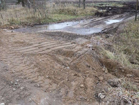 Жители Дзержинского района пожаловались ОНФ на грязь на дорогах