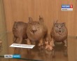 Выставка-глины3-0805.jpg