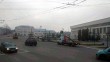 Ставят-елку-1115.jpg