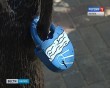 Дерево-Счастья2-0806.jpg