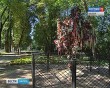 Дерево-Счастья4-0806.jpg