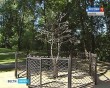 Дерево-Счастья6-0806.jpg