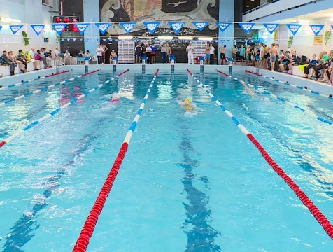 Более 200 пловцов вступили в борьбу за медали чемпионата и первенства области