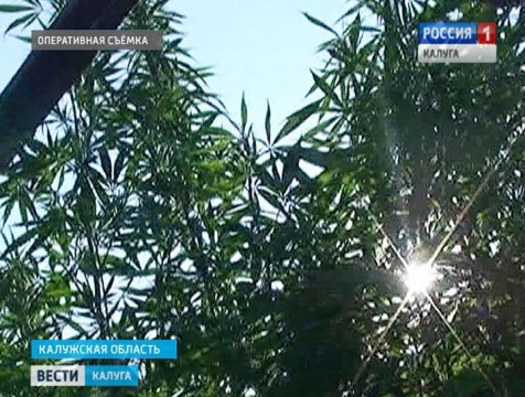 12 уголовных дел возбуждено по итогам первого этапа операции «Мак»