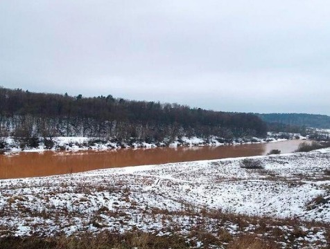 Мутная вода в Угре не опасна для людей и обитателей водоёма