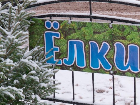 Елочных базаров в Калуге станет меньше, и все они расположатся в центре города
