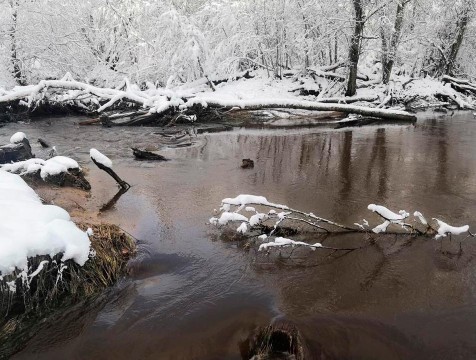 Вода в реке Изверь не представляет опасности