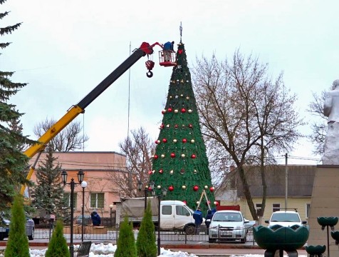 На центральной площади Кирова установили новогоднюю ёлку