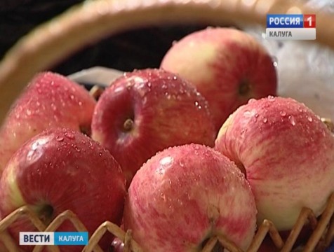 Фестиваль «Калужское яблоко» пройдет на Театральной площади