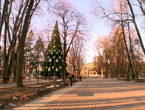 22-метровую елку в центральном парке начали накрывать звездным куполом