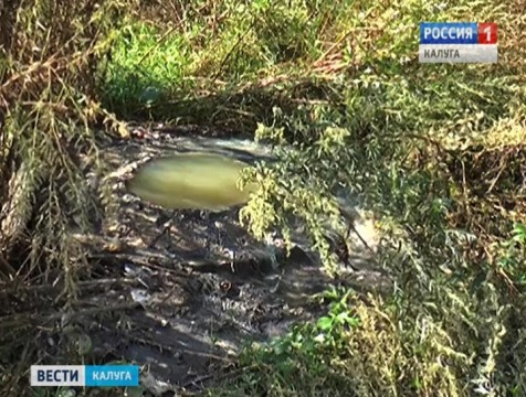 Жители Олимпийской деревни страдают от загрязнённой реки Страдаловки