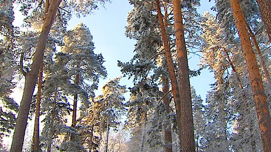 Погода-1217.jpg