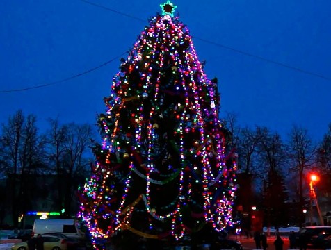 Главную городскую ёлку открыли в Людинове