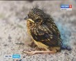 выставка-Бучарская4-0816.jpg