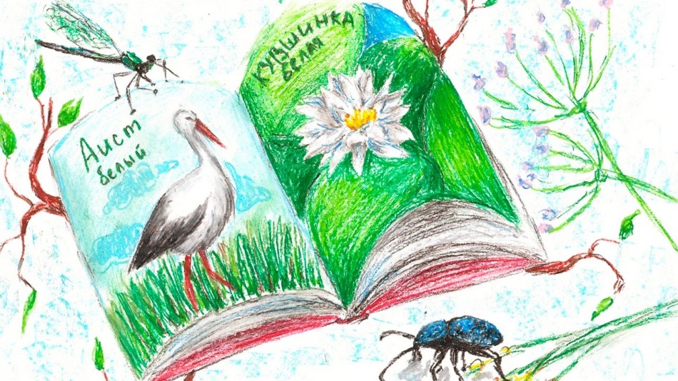рисунки-экология.jpg