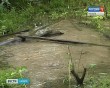 родник2-0818.jpg