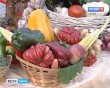 Калуга-урожайная3-0818.jpg