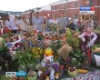 Калуга-урожайная8-0818.jpg