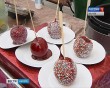 Фестиваль-яблок4-0819.jpg
