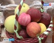 Фестиваль-яблок7-0819.jpg
