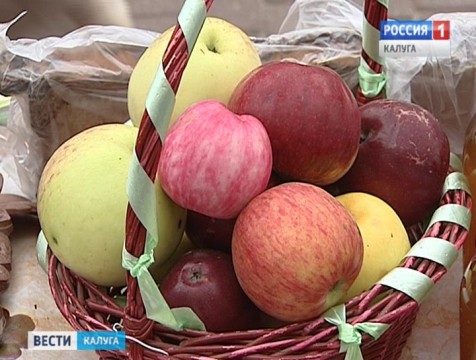Яблочный спас в Калуге отметили фестивалем