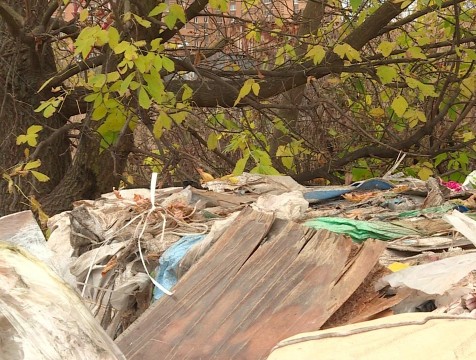 383 стихийные свалки ликвидировано в Калужской области с начала года