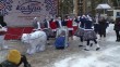 Чудо-сани2-0102.jpg