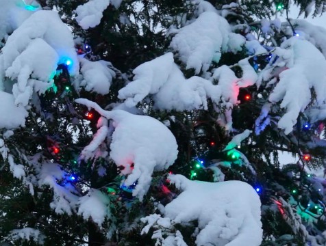 Калужане смогут отпраздновать Старый Новый год