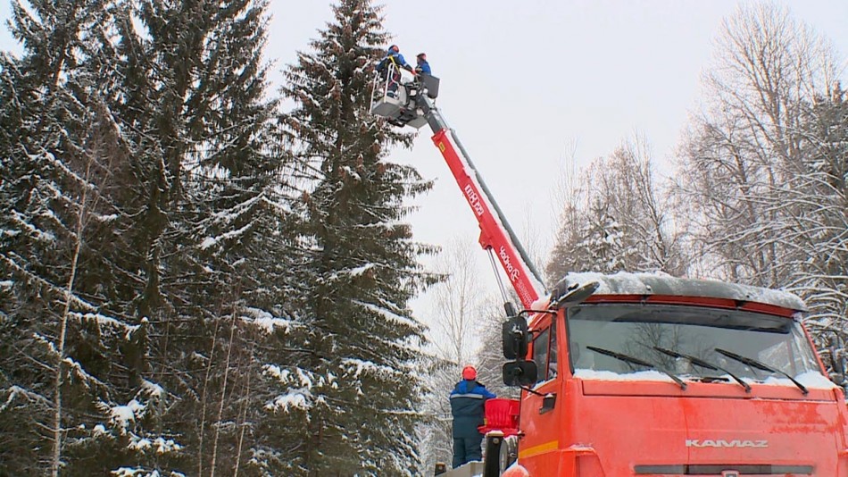 сбор-шишек_0116.jpg