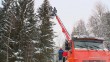 сбор-шишек_0116.jpg