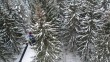 сбор-шишек2_0116.jpg