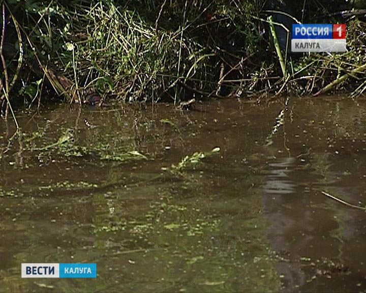 Водоём0826.jpg