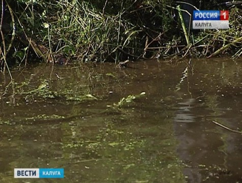 Русло реки Можайки очистят к концу года