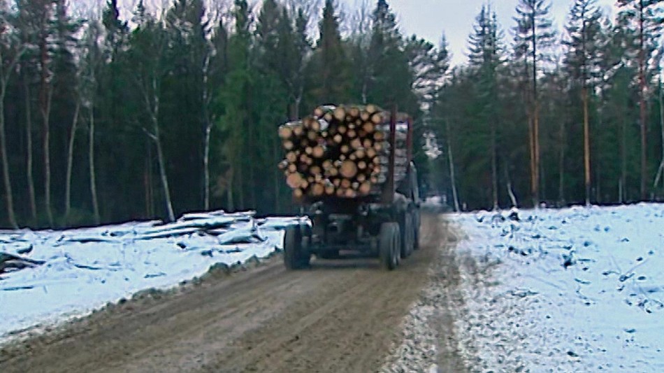 Лесовоз0402.jpg
