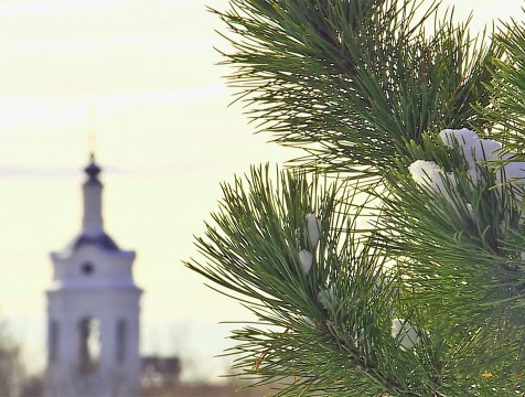 8 февраля в Калужской области температура воздуха опустятся до -15°С
