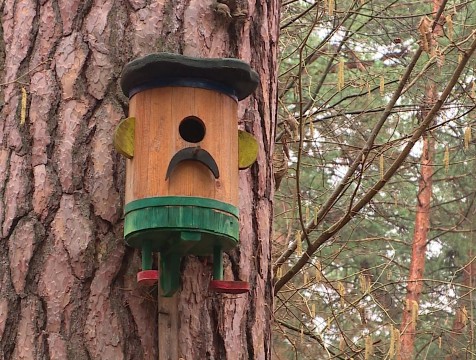 Калужан приглашают поучаствовать в конкурсе «Домик для птиц»