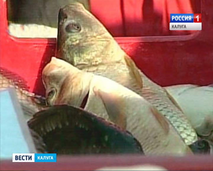 Рыба1005.jpg