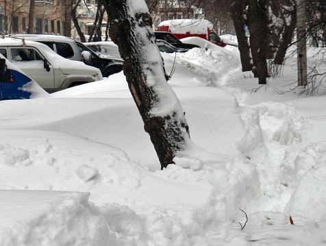 Городской голова Калуги попросил неделю на уборку снега