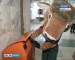 Экобокс-зубр0829.jpg